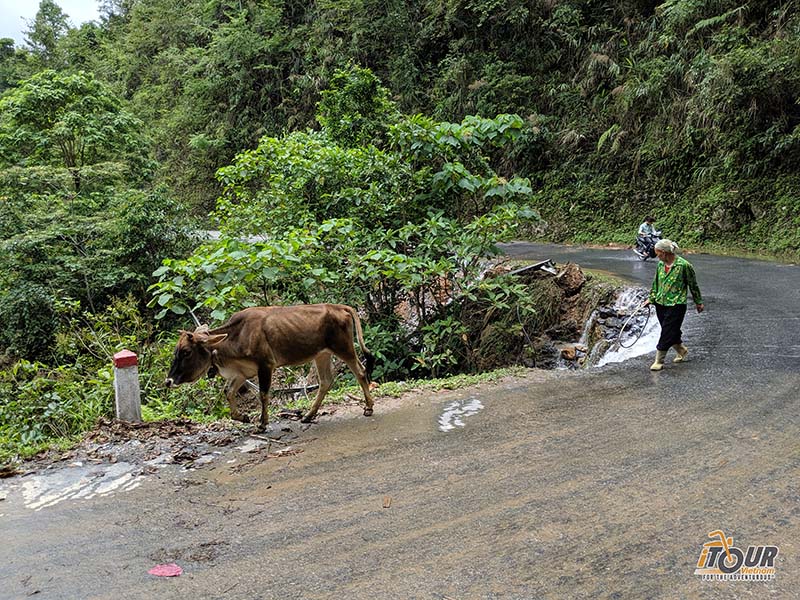 cao bang travel guide what to do in cao bang original road