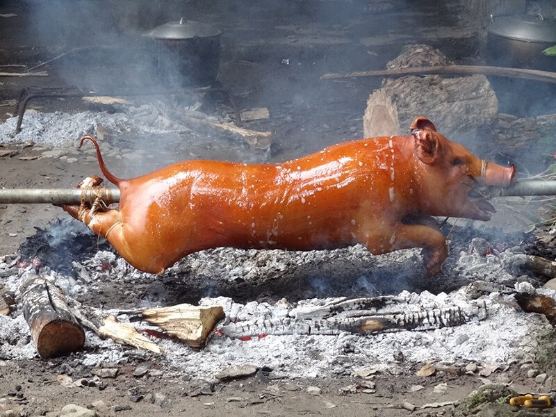 cao bang travel guide what to do in cao bang pig